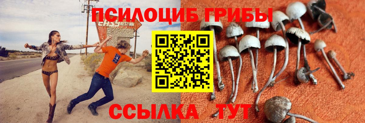 Кулебаки  Галлюциногенные грибы MAGIC MUSHROOMS  Вход с VPN 